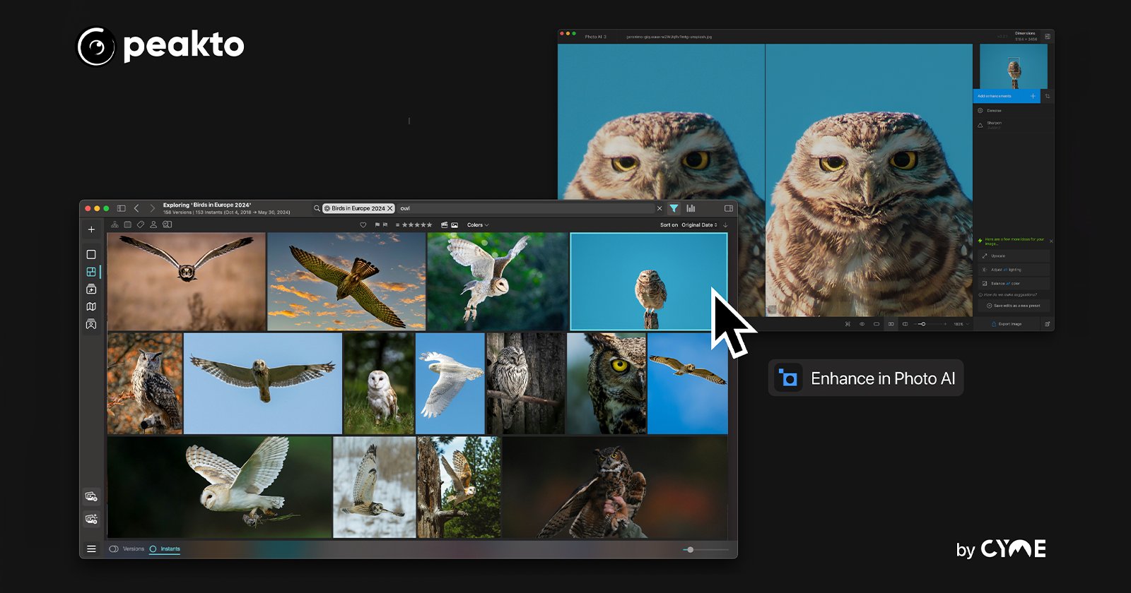 A screenshot showcasing the Peakto software interface, featuring multiple images of owls in a photo gallery. One image is being enhanced using Photo AI, with a side-by-side comparison of the original and the enhanced photo. Peakto and CYME logos are visible.