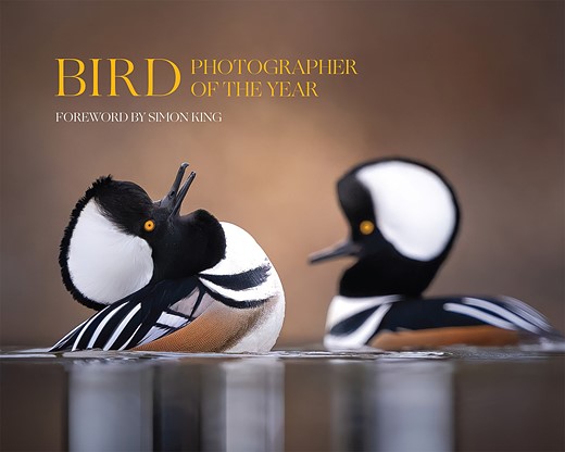 Slideshow: winners of the Bird Photographer of the Year awards for 2024