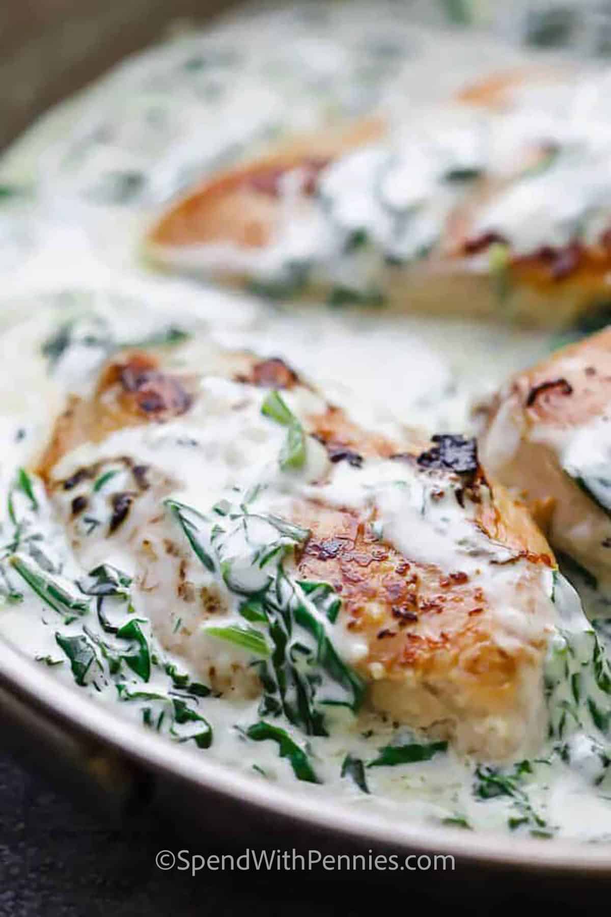 pan of Creamy Chicken Florentine