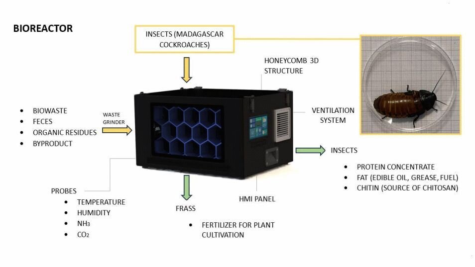 Cockroaches In Space: Waste Processing And A Healthy Protein Source Combined