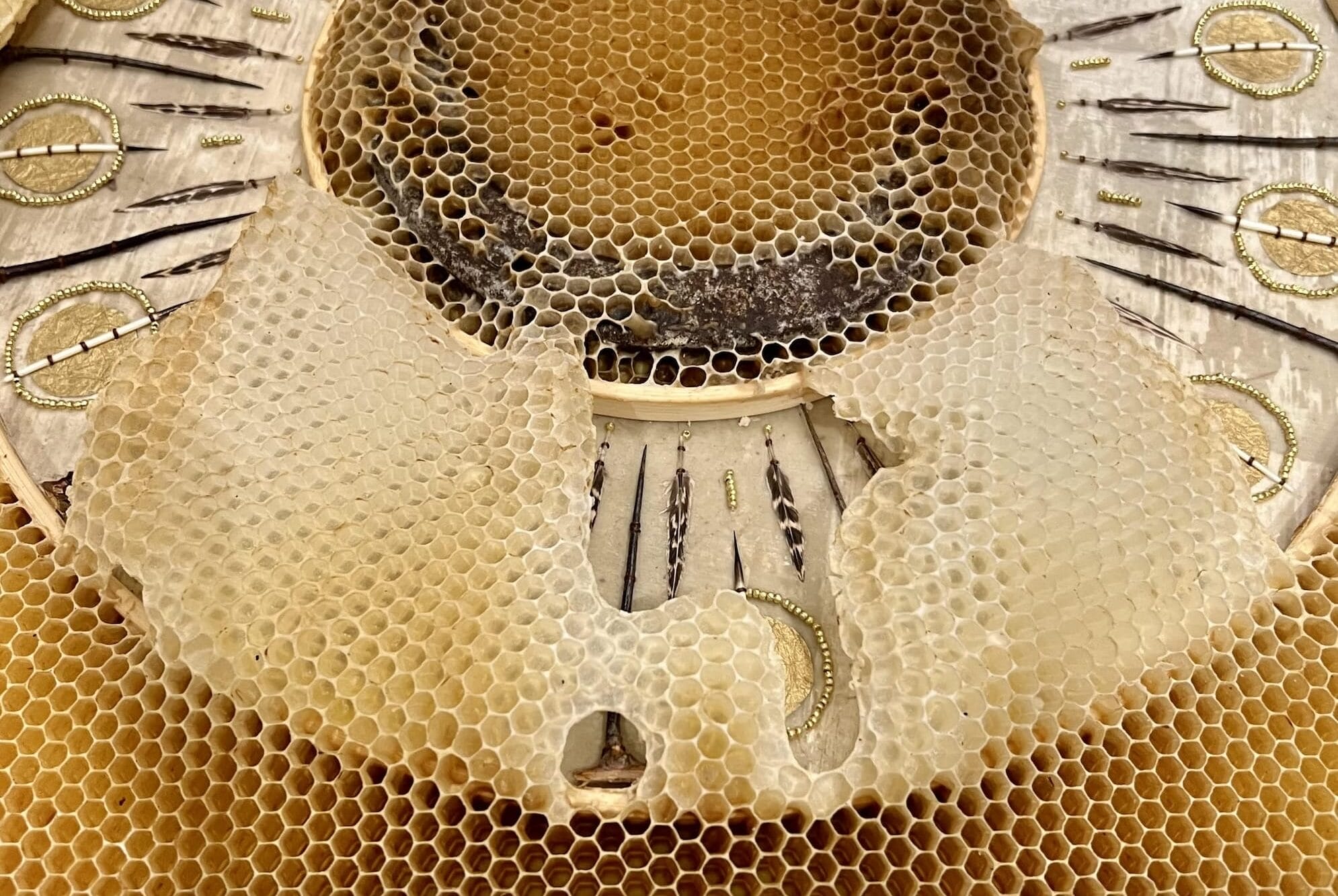 Honeybees Have the Final Say in Ava Roth’s Collaborative Sculptures — Colossal