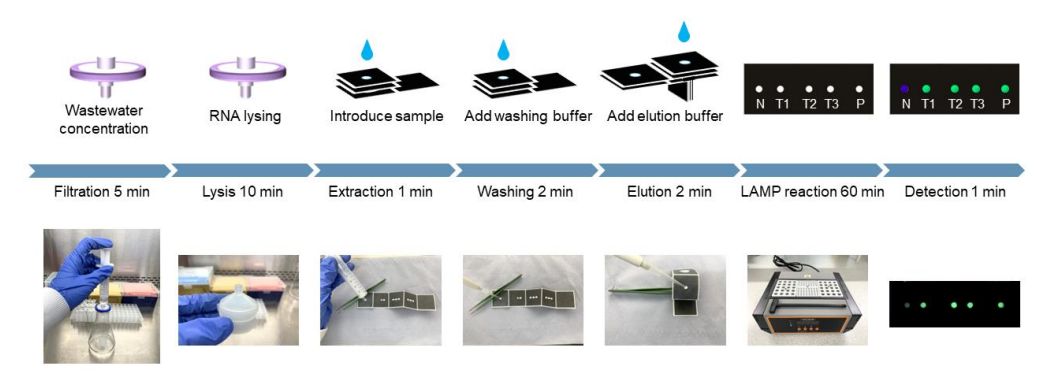 On-Site Viral RNA Detection In Wastewater With Paper And Wax Microfluidics